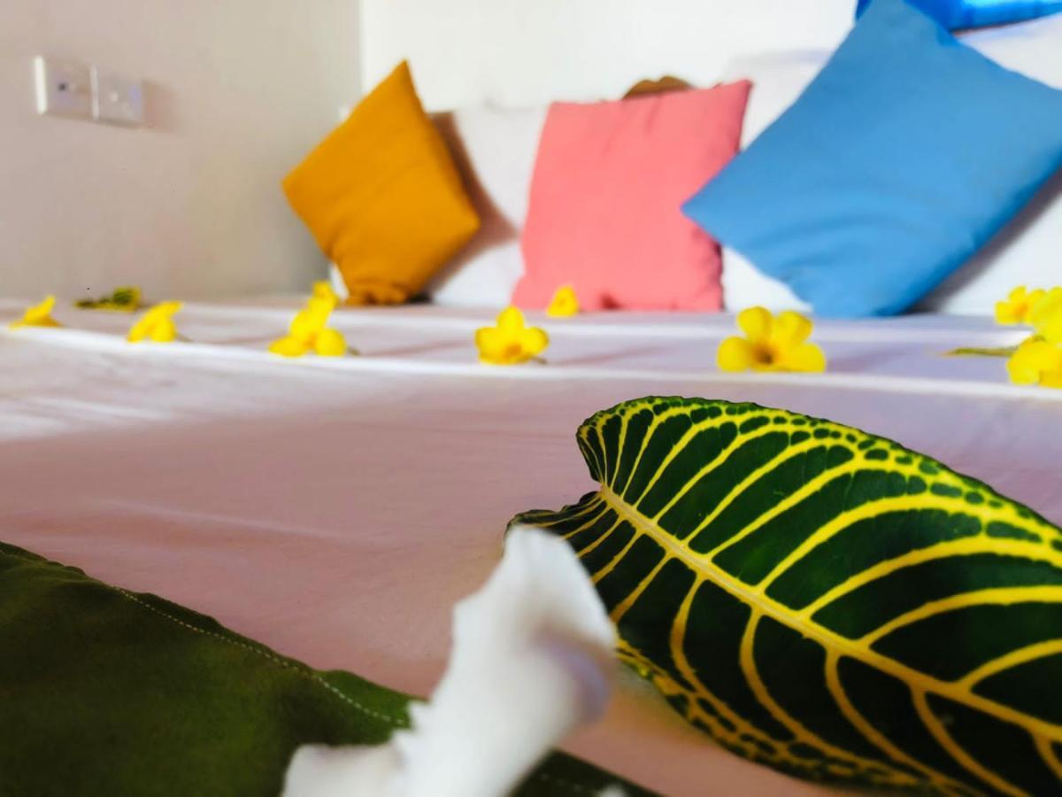 Rock Paradise Beach Hotel & Restaurent تانجالي المظهر الخارجي الصورة